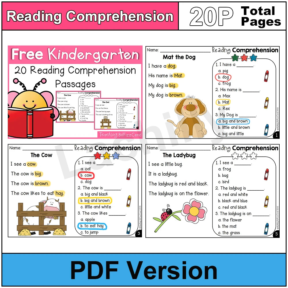100 Days Reading Comprehension Practice for Preschool English Learners