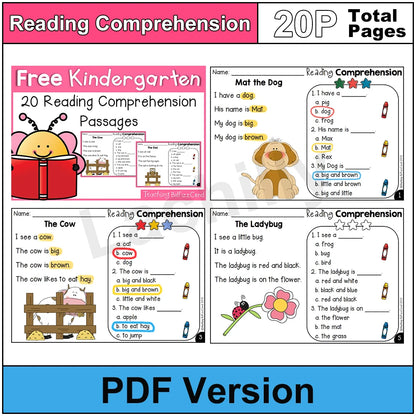 100 Days Reading Comprehension Practice for Preschool English Learners