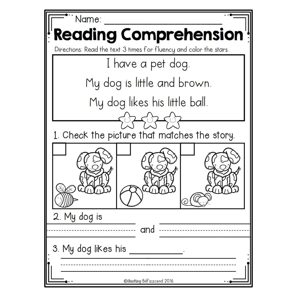 Phonics Skill Builder - 4 Book Reading Comprehension Set