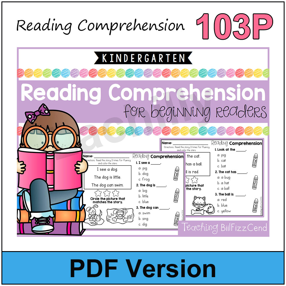 Phonics Skill Builder - 4 Book Reading Comprehension Set