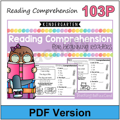 Phonics Skill Builder - 4 Book Reading Comprehension Set