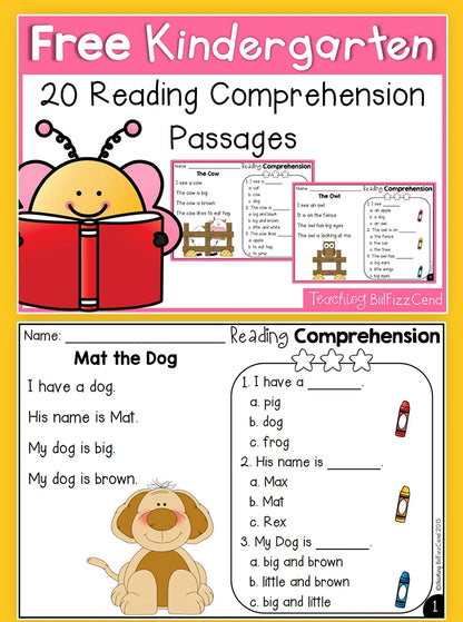 100 Days Reading Comprehension Practice for Preschool English Learners